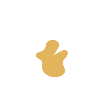 E5764238-placeholder-1770012963