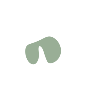 0d11ea7c-placeholder-1770011552