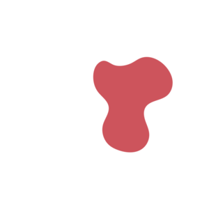 513d790b-placeholder-1770017312