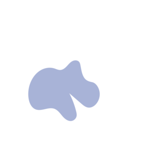 537537d7-placeholder-1770020871