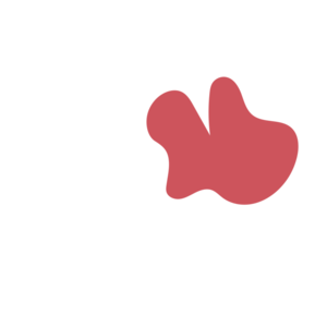 0afd133f-placeholder-1770014879