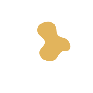 26a3671d-placeholder-1770030816