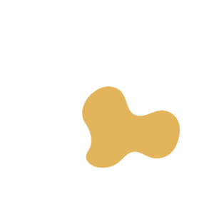 4ff1543a-placeholder-1770020569