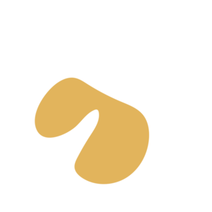 868a5437-placeholder-1769994778