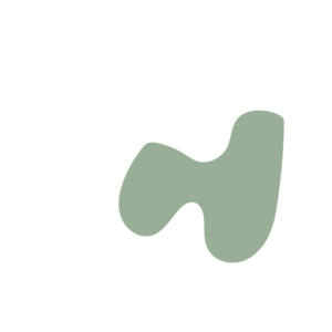 61cd1147-placeholder-1770017767