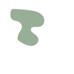 594d480b-placeholder-1770004998