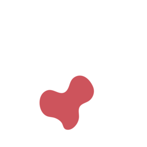 D92c096f-placeholder-1770051475