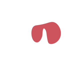 D48b3a55-placeholder-1770027573