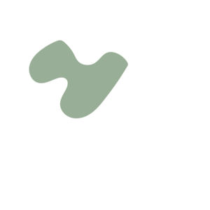 9bb8be91-placeholder-1770006440