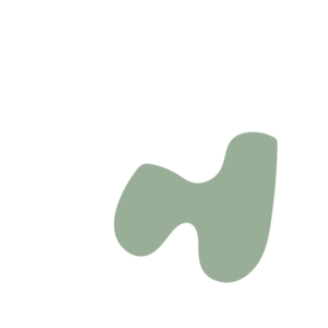 4f17477e-placeholder-1770017769