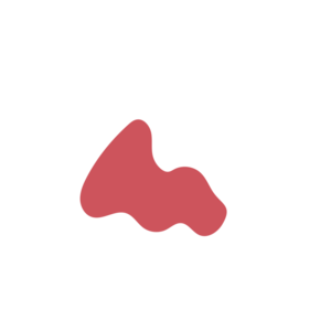 7577019c-placeholder-1770007838