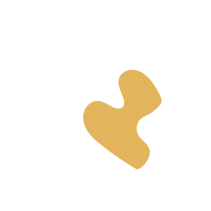 D96ea1f5-placeholder-1770007018