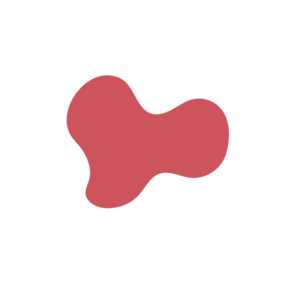 32a2213e-placeholder-1770040464