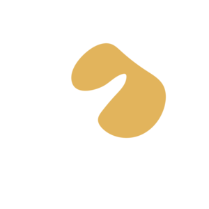 Eeaf972f-placeholder-1770018942