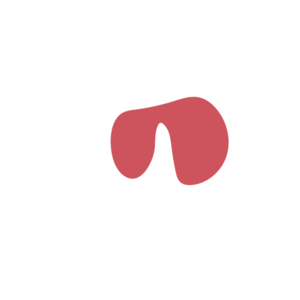 B6530a25-placeholder-1770005319