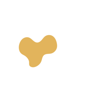 7ab99bb9-placeholder-1770040461