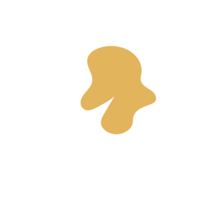 Cca18494-placeholder-1770015753