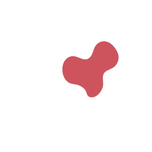 E208dca9-placeholder-1769570598