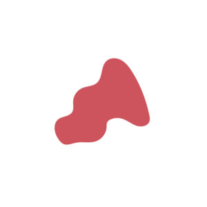 14270b6d-placeholder-1770046720