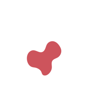 Edb932e8-placeholder-1770006867