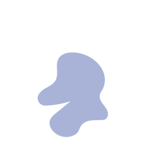 E27ab629-placeholder-1770009686