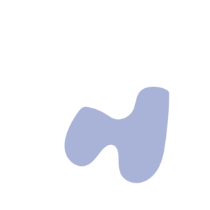 998a61d9-placeholder-1770005230