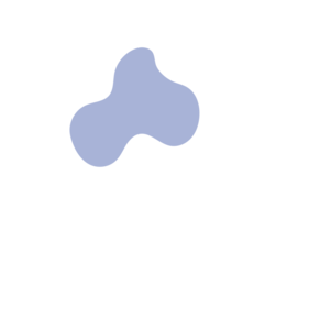 8bc829b5-placeholder-1770006860