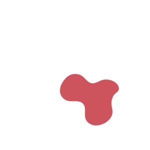 3af4d6c0-placeholder-1770022451